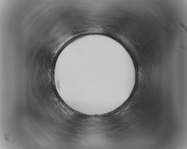 X0000102761212200809151006