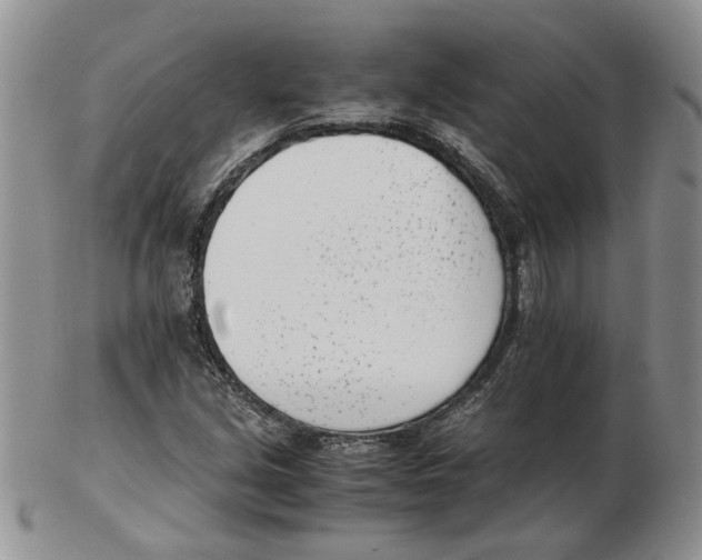 X0000102761213200809151006