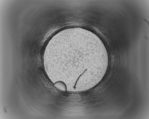 X0000102761215200809151006