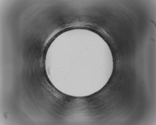 X0000102761216200809151006