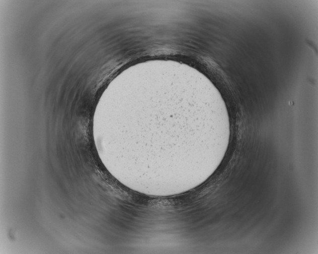 X0000102761217200809151006