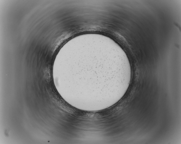 X0000102761218200809151006