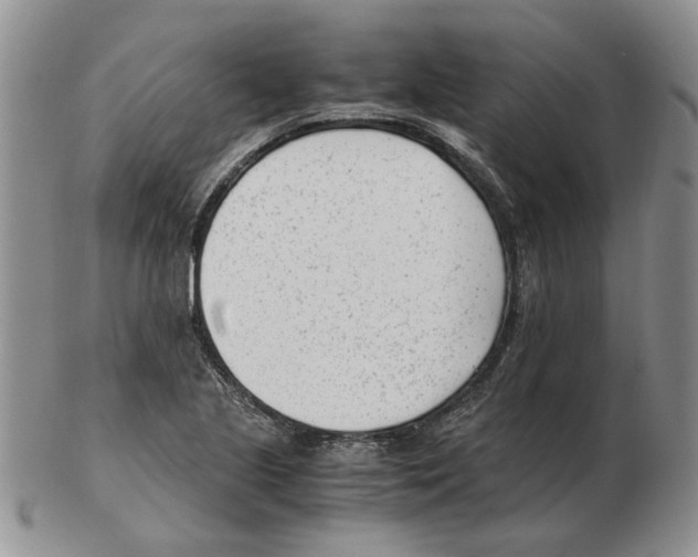 X0000102761221200809151006