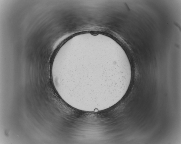 X0000102761222200809151006