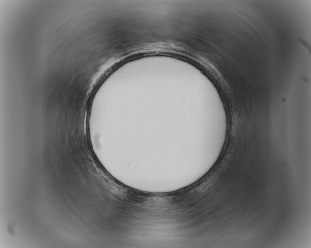 X0000102761224200809151006