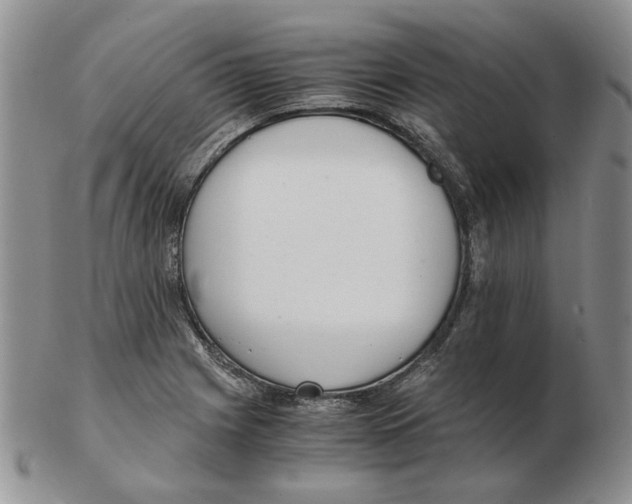 X0000102761225200809151006