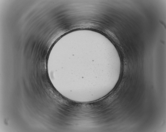 X0000102761226200809151006