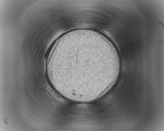 X0000102761227200809151006