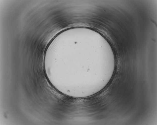 X0000102761228200809151006