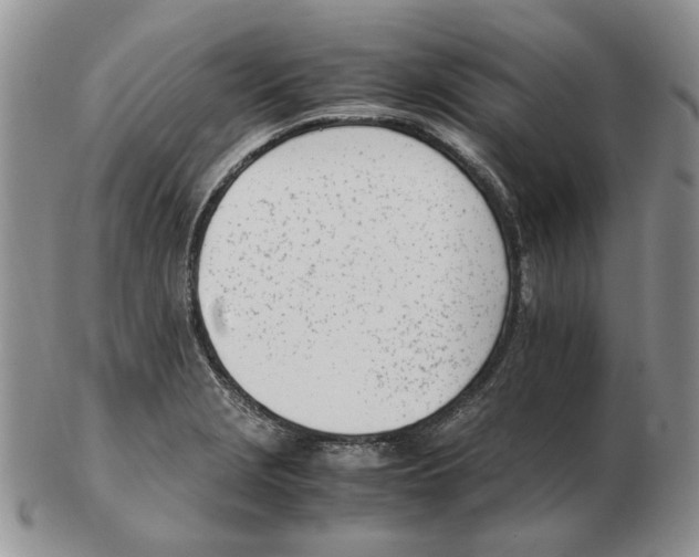 X0000102761229200809151006