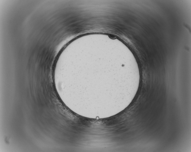 X0000102761230200809151007