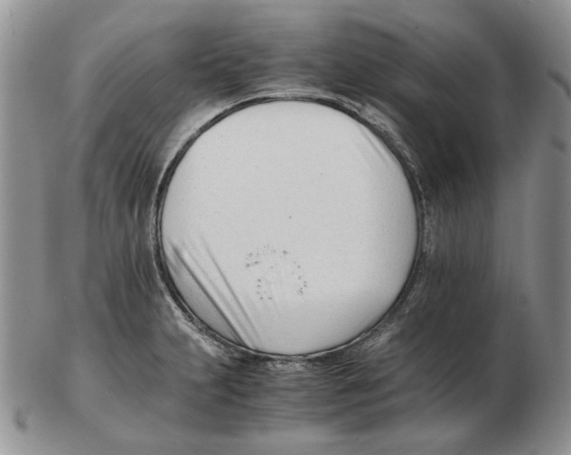 X0000102761231200809151007