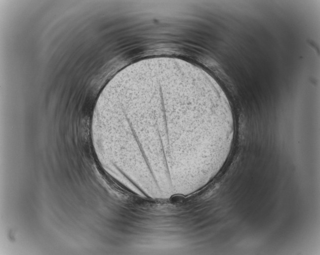 X0000102761233200809151007