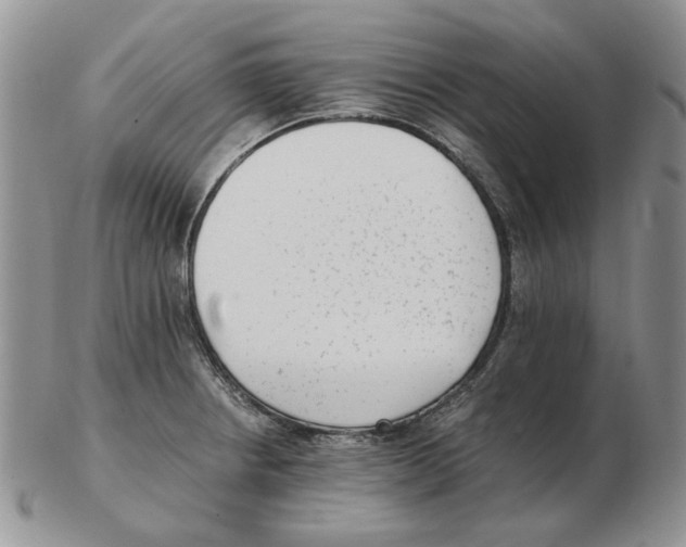 X0000102761234200809151007