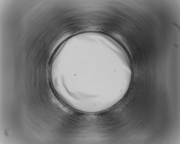 X0000102761235200809151007