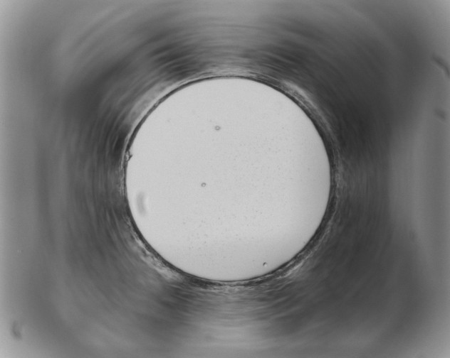 X0000102761236200809151007