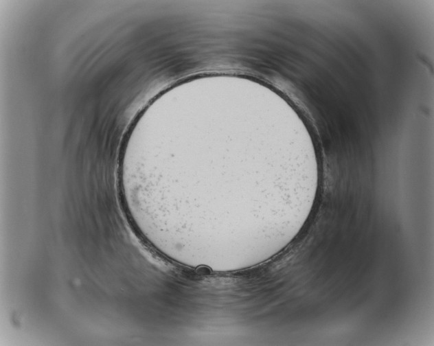 X0000102761237200809151007