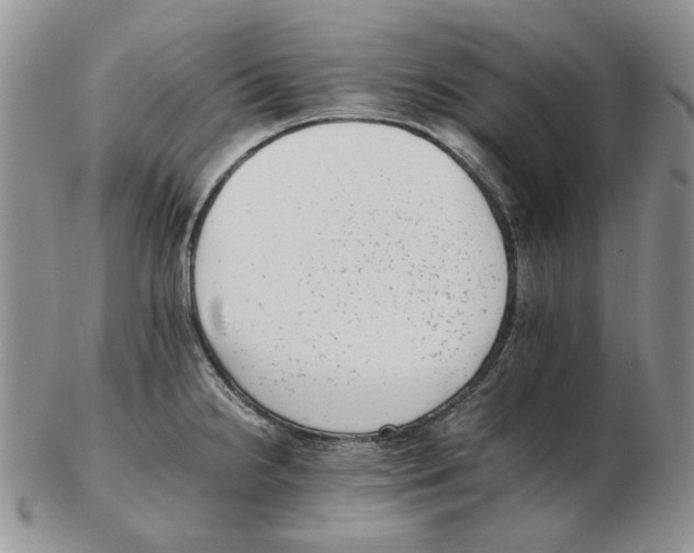 X0000102761238200809151007