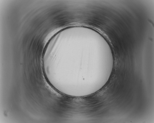 X0000102761239200809151007