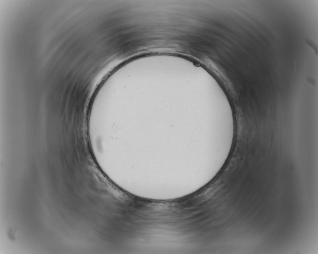 X0000102761240200809151007