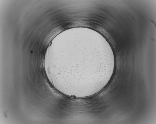 X0000102761241200809151007