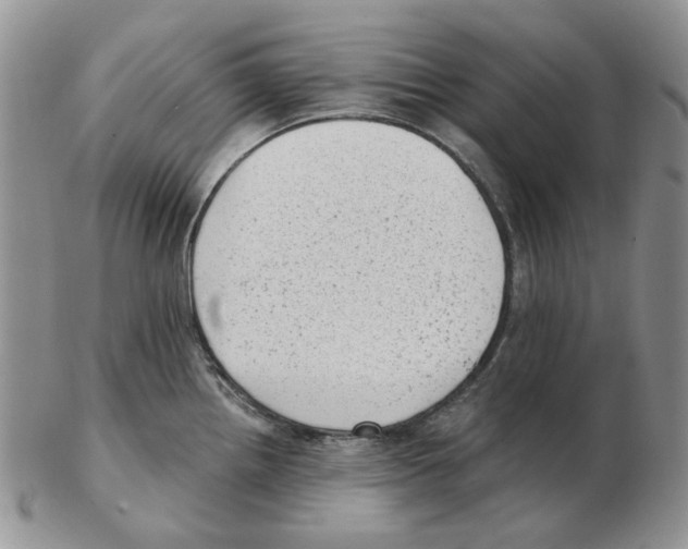 X0000102761242200809151007