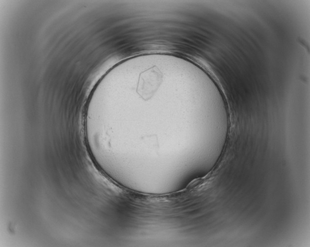 X0000102761243200809151007