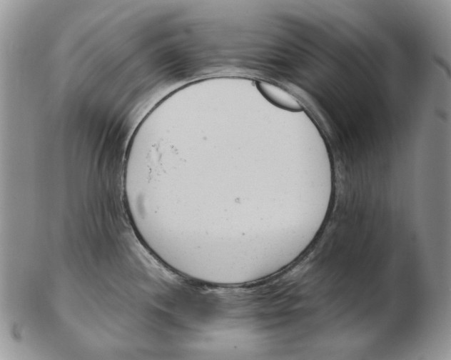 X0000102761244200809151007