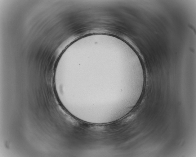 X0000102761245200809151007