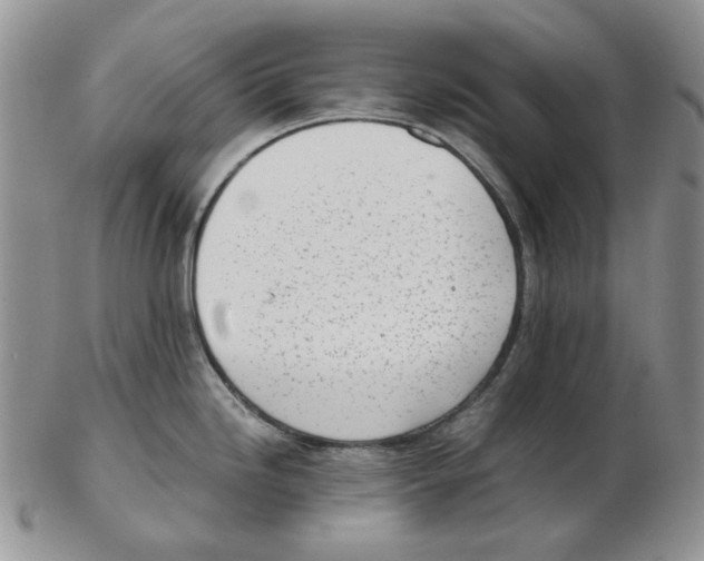 X0000102761246200809151007