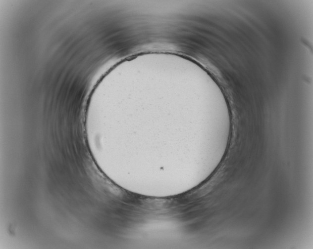 X0000102761248200809151007