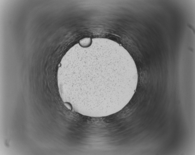 X0000102761249200809151006