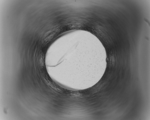 X0000102761250200809151006