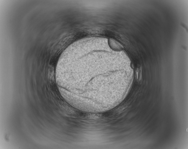 X0000102761251200809151006