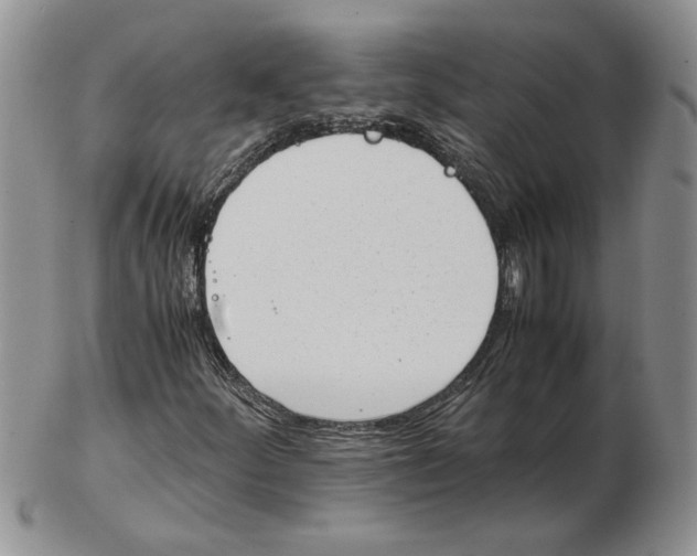 X0000102761252200809151006