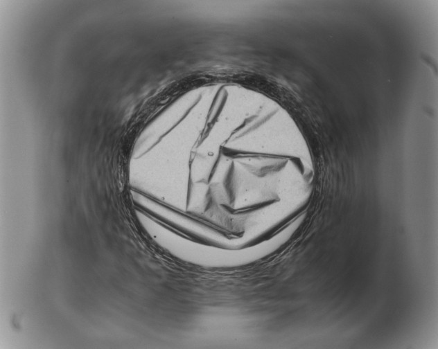 X0000102761253200809151006