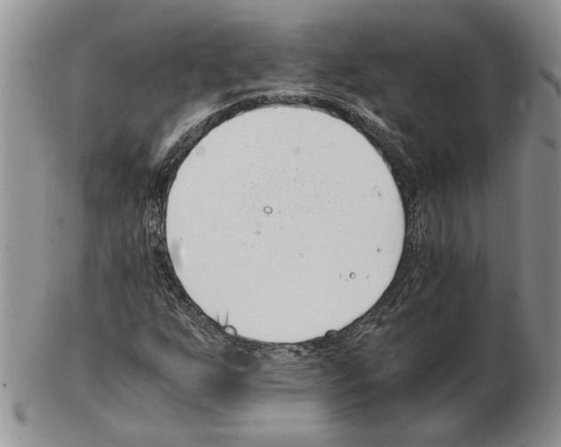 X0000102761255200809151006