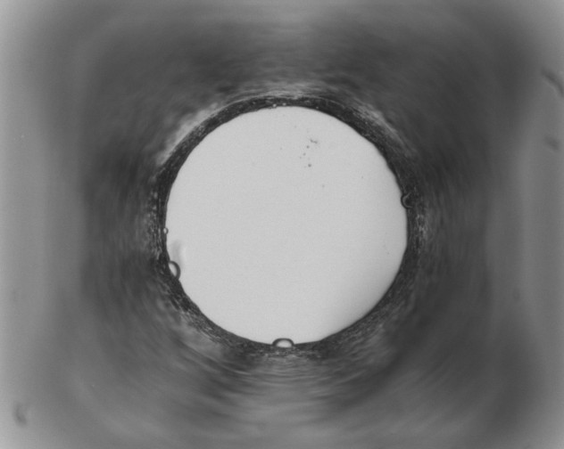 X0000102761256200809151006