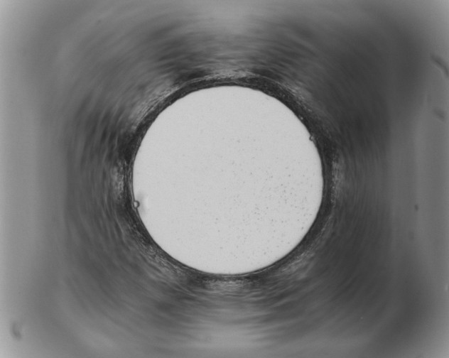 X0000102761257200809151006