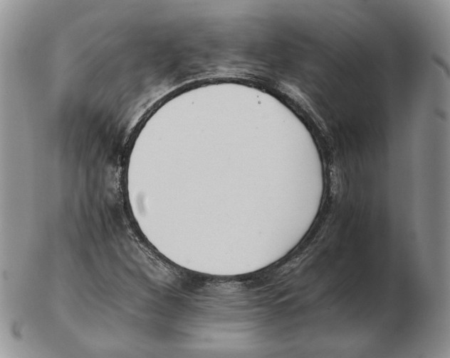 X0000102761260200809151006