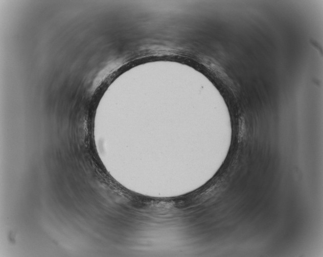 X0000102761261200809151006