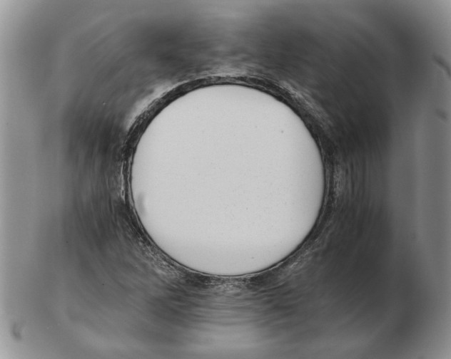 X0000102761262200809151006