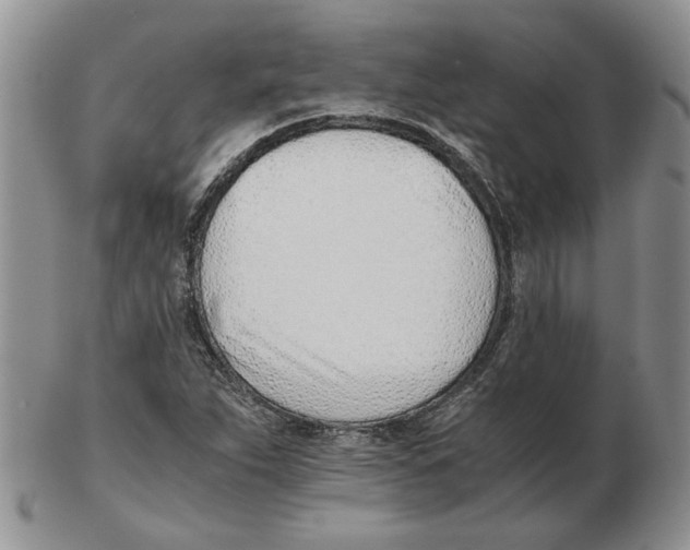 X0000102761263200809151006