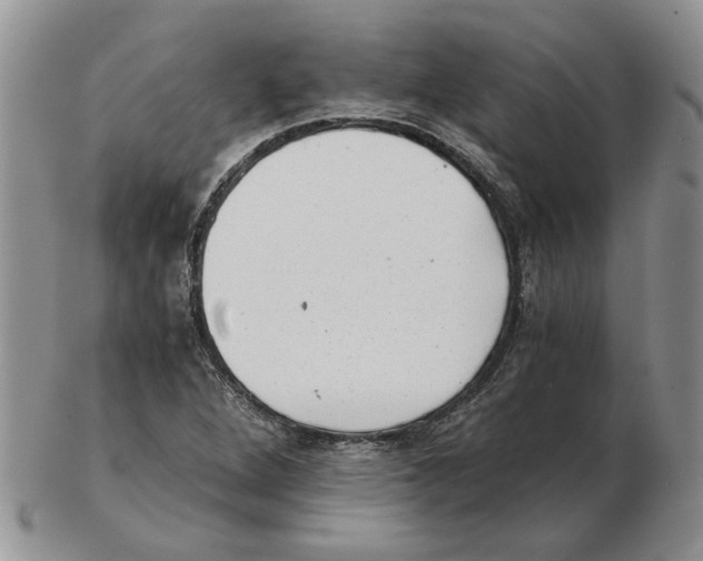 X0000102761264200809151006