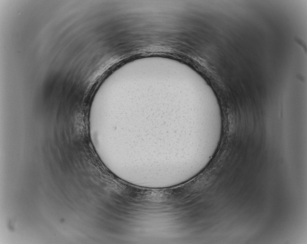 X0000102761266200809151006