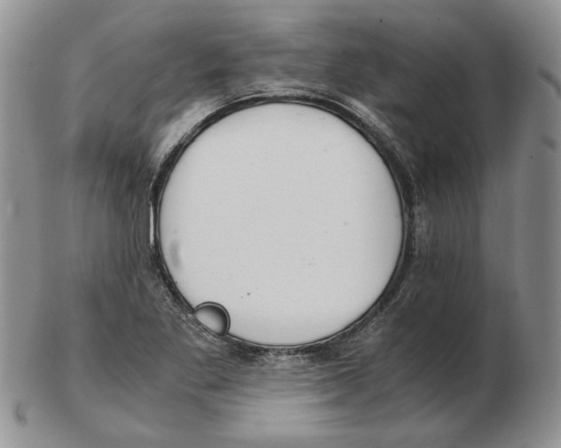 X0000102761269200809151006