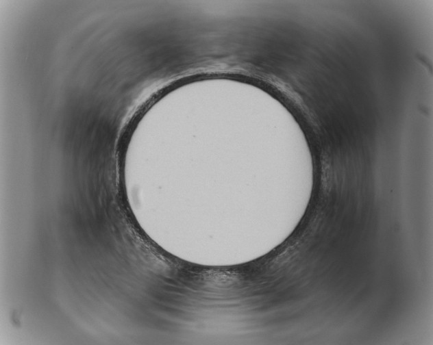 X0000102761270200809151006