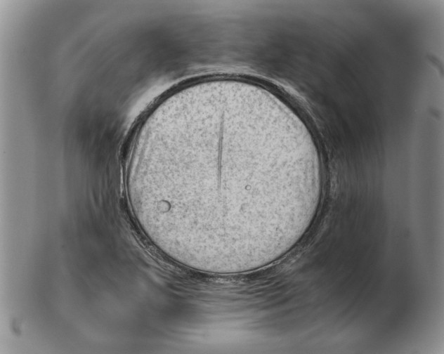 X0000102761271200809151006