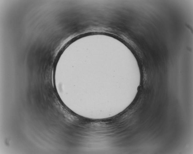 X0000102761272200809151006