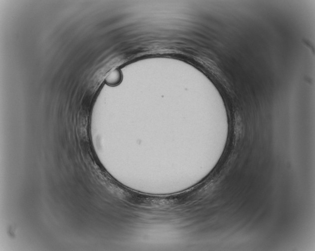 X0000102761273200809151006